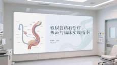 輸尿管結石診療規范與臨床實踐指南