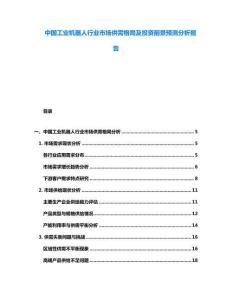 中國工業機器人行業市場供需格局及投資前景預測分析報告