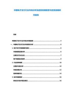 中國(guó)電子支付行業(yè)市場(chǎng)分析及趨勢(shì)發(fā)展前景與投資戰(zhàn)略研究報(bào)告