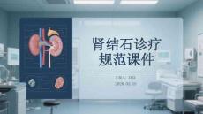 腎結石診療規(guī)范課件(1)