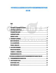 中東電商企業運營模式優化研究市場拓展策略咨詢評估規劃方案