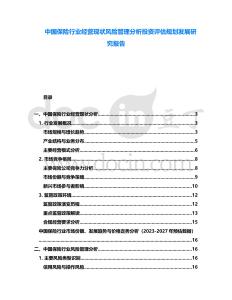 中國保險行業經營現狀風險管理分析投資評估規劃發展研究報告