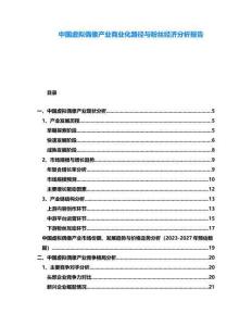 中國虛擬偶像產業商業化路徑與粉絲經濟分析報告