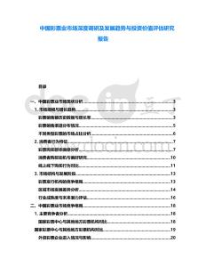 中國彩票業(yè)市場深度調(diào)研及發(fā)展趨勢與投資價值評估研究報告