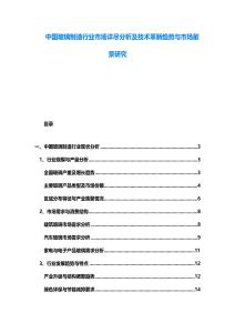 中國玻璃制造行業(yè)市場詳盡分析及技術(shù)革新趨勢與市場前景研究