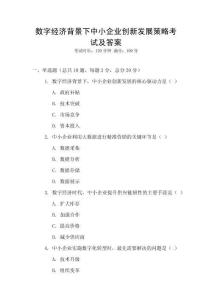 數(shù)字經(jīng)濟背景下中小企業(yè)創(chuàng)新發(fā)展策略考試及答案