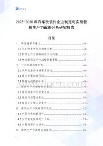 2025-2030年汽車改裝件企業制定與實施新質生產力戰略分析研究報告