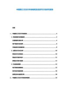 中國第三方支付市場格局及投資可行性研究報告