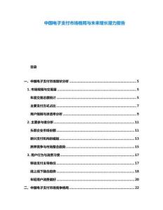 中國電子支付市場格局與未來增長潛力報告
