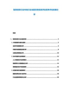智慧安防行業(yè)市場行業(yè)當(dāng)前態(tài)勢投資評估競爭評估發(fā)展分析