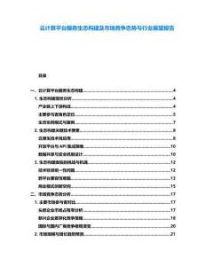 云計算平臺服務生態(tài)構建及市場競爭態(tài)勢與行業(yè)展望報告