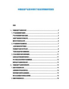 中國動漫產業資本寒冬下的生存策略研究報告