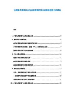 中國電子表帶行業(yè)市場深度調(diào)研及未來趨勢預(yù)測分析報告