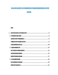 納米材料應用行業(yè)市場前景技術突破投資前景規(guī)劃分析研究報告