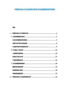 中國石油化工企業(yè)投資分析及行業(yè)發(fā)展趨勢研究報告