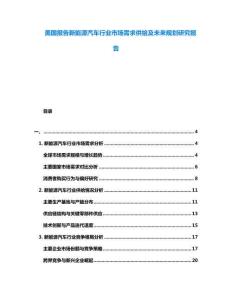 美國報告新能源汽車行業市場需求供給及未來規劃研究報告