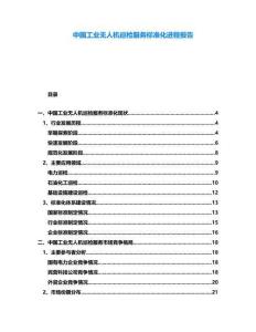 中國工業無人機巡檢服務標準化進程報告