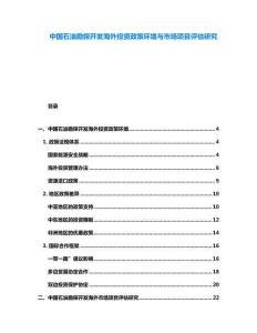 中國(guó)石油勘探開發(fā)海外投資政策環(huán)境與市場(chǎng)項(xiàng)目評(píng)估研究