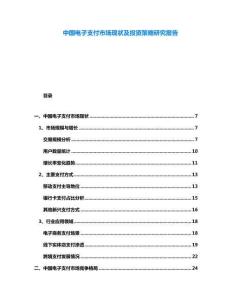 中國電子支付市場現狀及投資策略研究報告