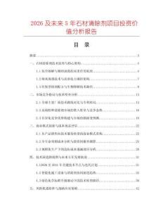 2026及未來5年石材清除劑項目投資價值分析報告