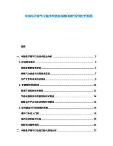 中國電子特氣行業技術壁壘與進口替代空間分析報告