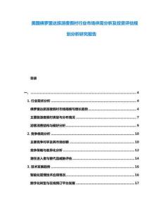 美國佛羅里達旅游度假村行業市場供需分析及投資評估規劃分析研究報告