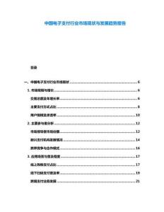 中國電子支付行業市場現狀與發展趨勢報告