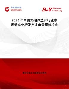 2026年中國熱泡沫墊片行業市場動態分析及產業前景研判報告