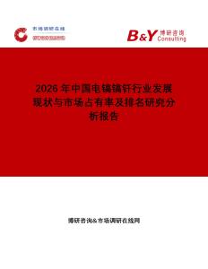 2026年中國電鎬鎬釬行業發展現狀與市場占有率及排名研究分析報告