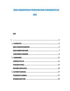 智能水壩監(jiān)測(cè)系統(tǒng)技術(shù)革新應(yīng)用價(jià)值及市場(chǎng)發(fā)展投資分析報(bào)告