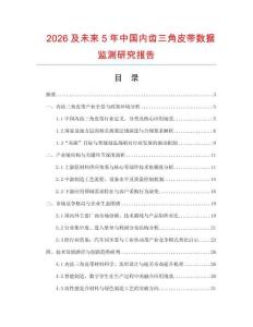 2026及未來5年中國內齒三角皮帶數據監測研究報告