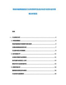 明線傳輸網絡建設行業專項研究及進步動態與資本運作策略分析報告