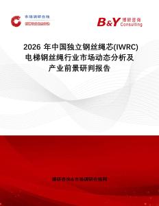 2026年中國獨立鋼絲繩芯(IWRC)電梯鋼絲繩行業市場動態分析及產業前景研判報告