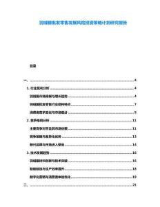 羽絨服批發零售發展風險投資策略計劃研究報告