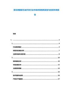 某非洲國家石油開采行業市場供需格局演變與投資布局報告