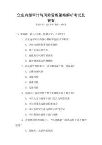 企業(yè)內(nèi)部審計與風(fēng)險管理策略解析考試及答案