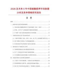 2026及未來5年中國碳酸氫鉀市場數據分析及競爭策略研究報告