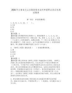 2026年云南省文山壯族苗族自治州單招職業適應性測試題庫含答案詳解