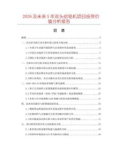 2026及未來5年雙頭給皂機項目投資價值分析報告