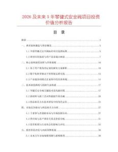 2026及未來5年琴鍵式安全閥項目投資價值分析報告