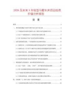 2026及未來5年輕型馬鞍車床項目投資價值分析報告