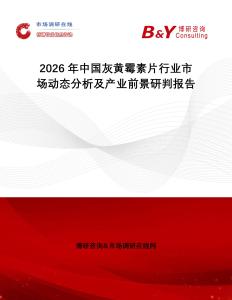 2026年中國灰黃霉素片行業(yè)市場動態(tài)分析及產(chǎn)業(yè)前景研判報告