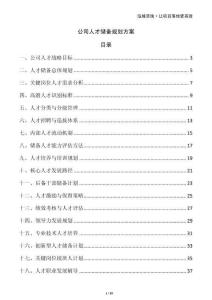 公司人才儲(chǔ)備規(guī)劃方案