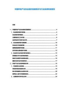 中國養(yǎng)老產業(yè)協(xié)會組織發(fā)展現狀與行業(yè)自律機制報告