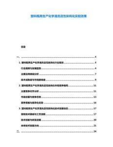 塑料瓶再生產(chǎn)化學(xué)清洗活性炭純化實驗效果