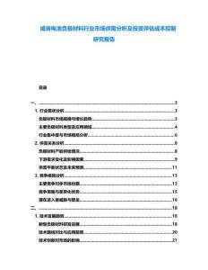 威肯電池負(fù)極材料行業(yè)市場供需分析及投資評估成本控制研究報(bào)告