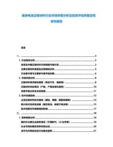 威肯電池正極材料行業(yè)市場供需分析及投資評估熱穩(wěn)定性研究報告