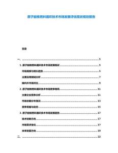 原子能核燃料循環(huán)技術市場發(fā)展評估現(xiàn)狀規(guī)劃報告
