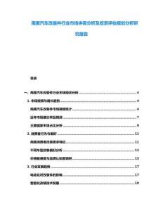 南美汽車改裝件行業市場供需分析及投資評估規劃分析研究報告