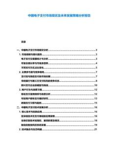中國電子支付市場現(xiàn)狀及未來發(fā)展策略分析報告